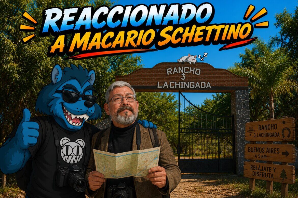 Reaccionado a Macario Schettino Coyuntura al 24 de mayo