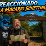 Reaccionado a Macario Schettino Coyuntura al 24 de mayo